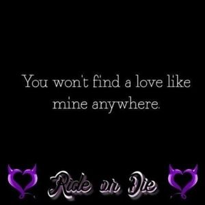 Meet your Posher, Ginger